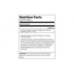 SYNEDREX Fatburner Metabolic Nutrition
